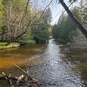 Meet your Posher, Kameron